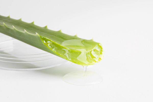 aloe vera for mouth sores